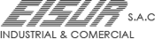 Eisur logo